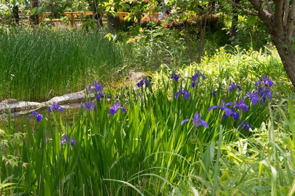 上野動物園 園内