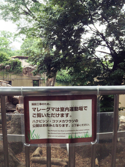 上野動物園　マレーグマ舎