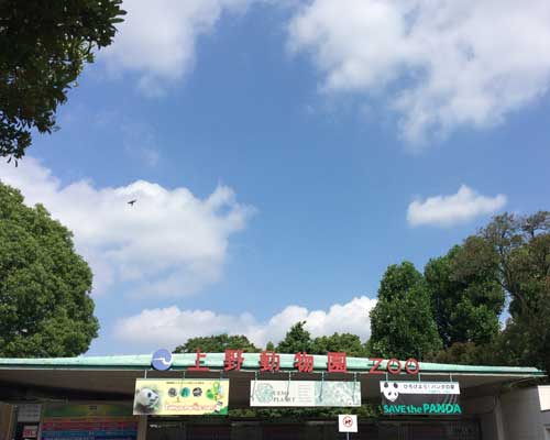 上野動物園 表門