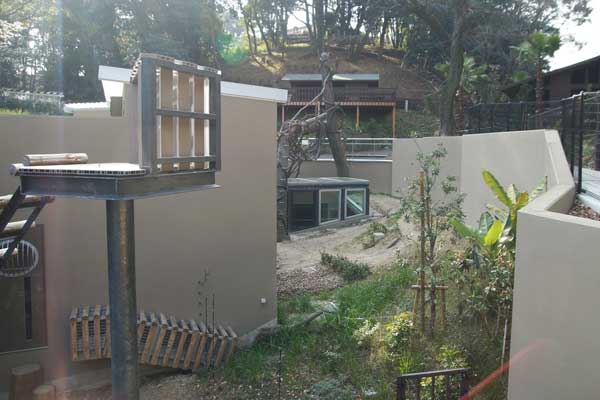 福岡市動物園　マレーグマ放飼場
