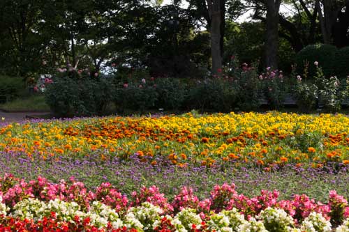 福岡市動植物園　植物園