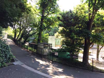 福岡市動植物園　園内