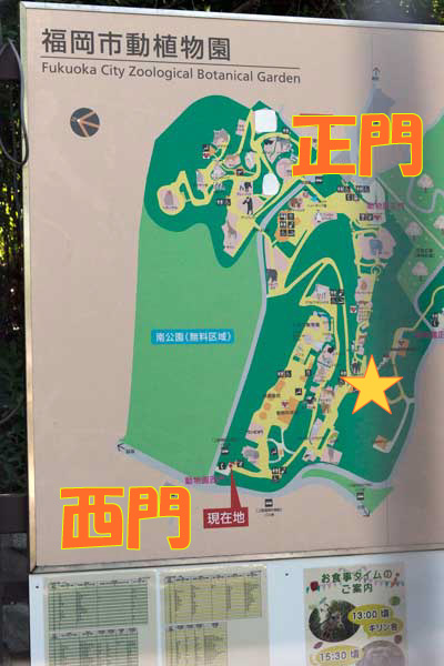 福岡市動植物園　西門　地図