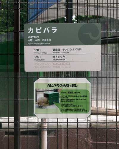 上野動物園 西園 子ども動物園