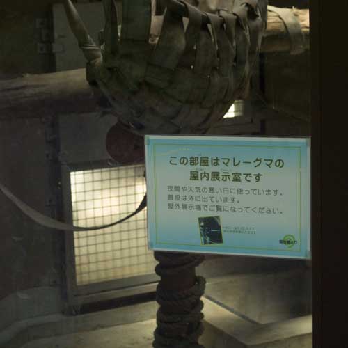 福岡市動物園　マレーグマ　屋内展示室