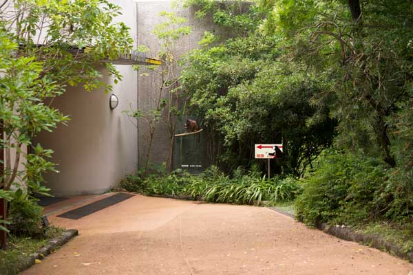 のいち動物公園 園内 順路