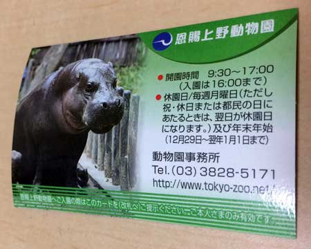 上野動物園　年間パスポート