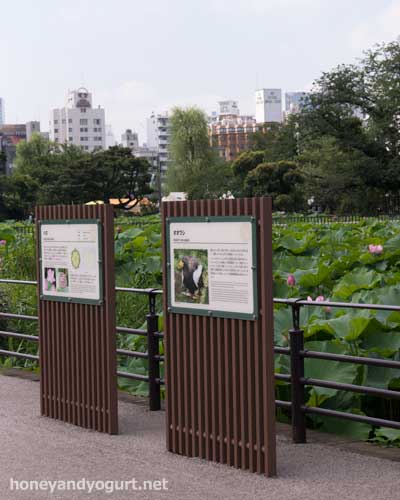 上野動物園　子ども動物園