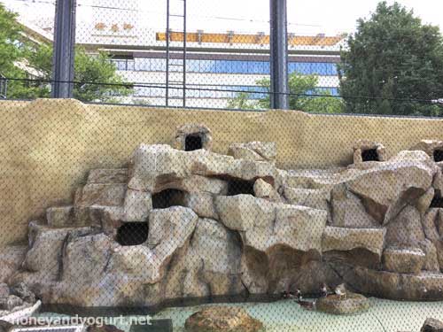 上野動物園　子ども動物園