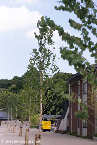 上野動物園　子ども動物園