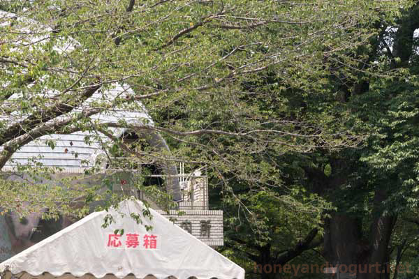 上野動物園　園内