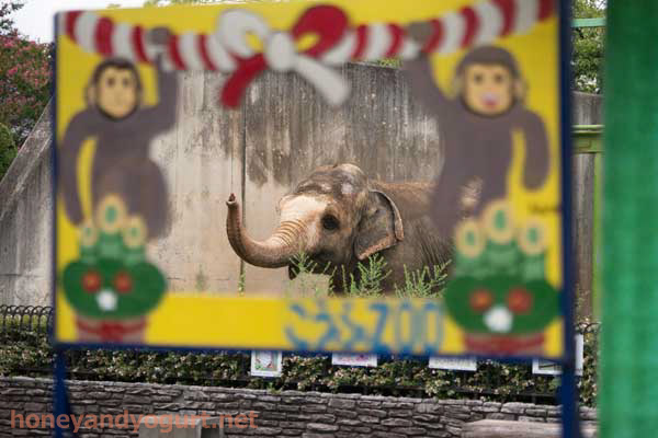 遊亀公園附属動物園