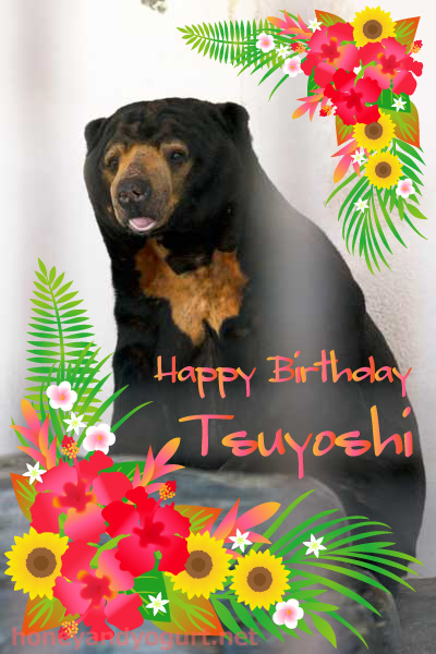 徳山動物園 マレーグマ ツヨシ