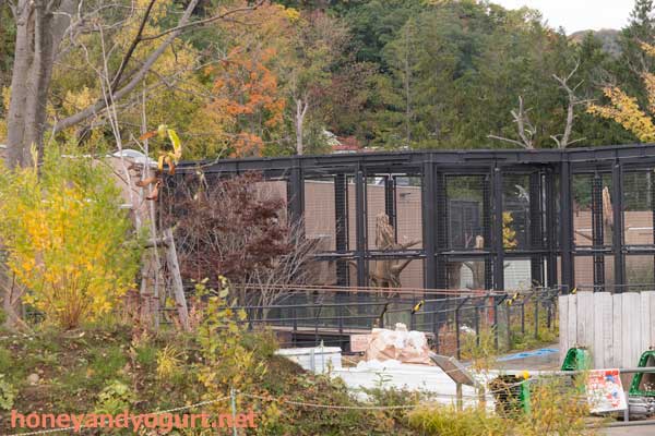 円山動物園 アジアゾーン