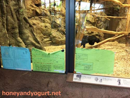 円山動物園 熱帯雨林館