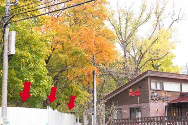 円山動物園 園内
