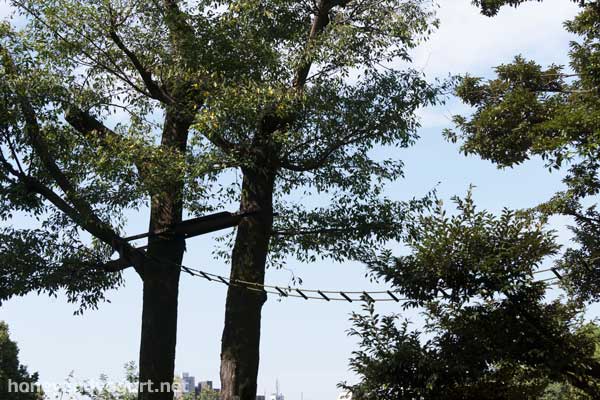 上野動物園 マレーグマ舎
