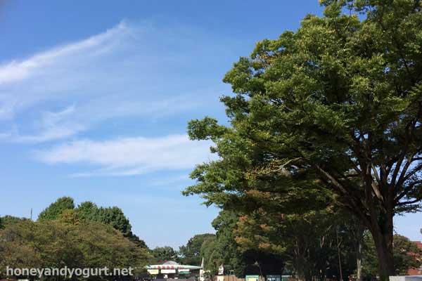 上野動物園 表門