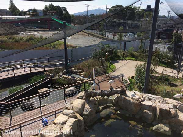 徳山動物園　ねいちゃる