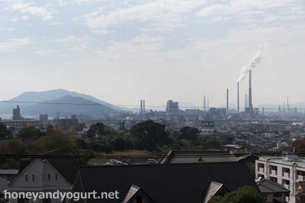 徳山動物園　ねいちゃる
