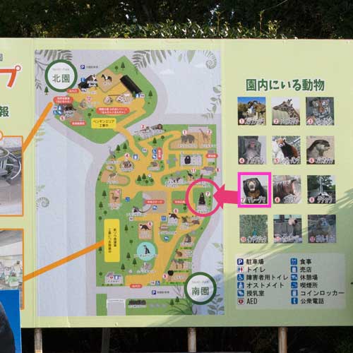 徳山動物園　入口　園内マップ