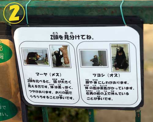 徳山動物園 マレーグマ舎