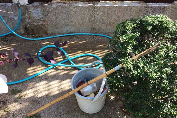 徳山動物園 マレーグマ舎