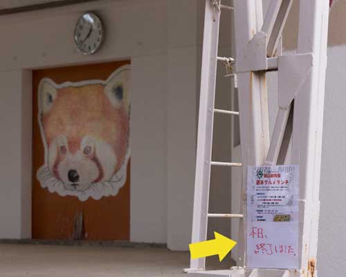 徳山動物園 週末グルメランチ