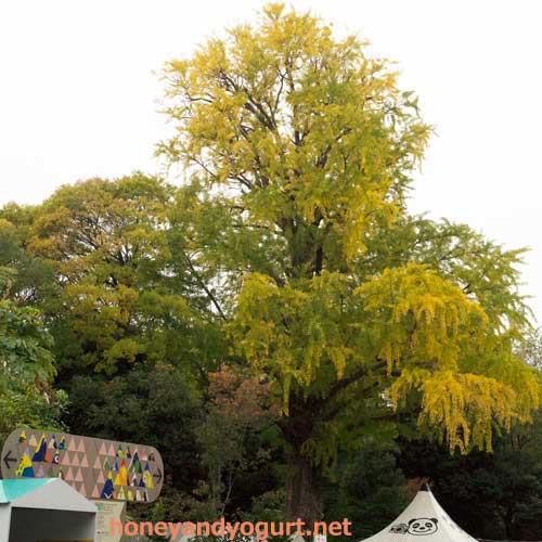 上野動物園 園内