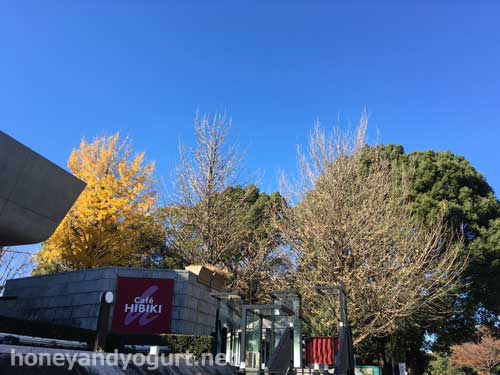 上野公園 カフェ