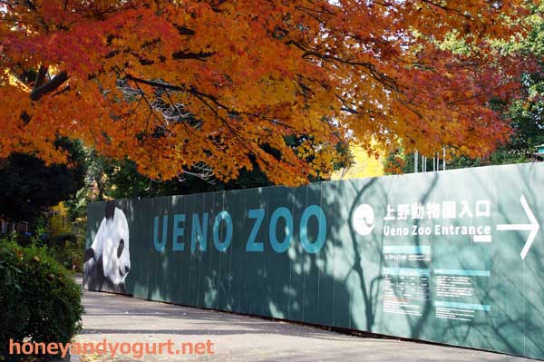 上野動物園　表門