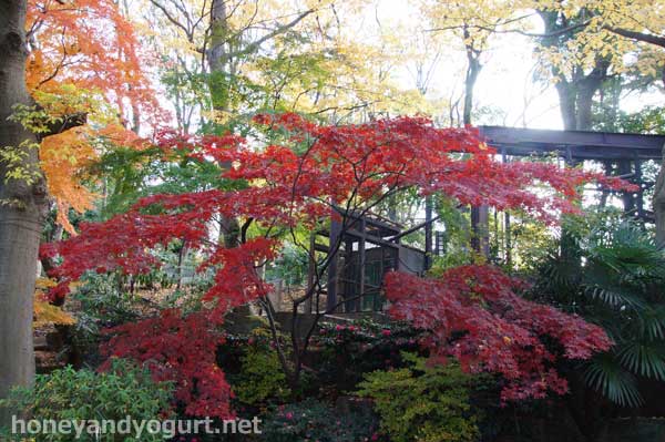 上野動物園　園内