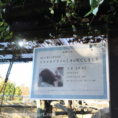 上野動物園　マレーグマ舎