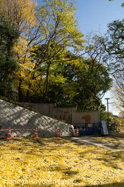 上野動物園 園内