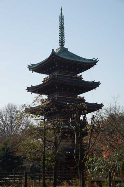 上野動物園 園内