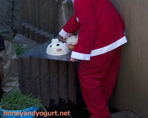 上野動物園 マレーグマ舎