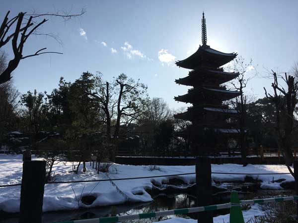上野動物園 園内