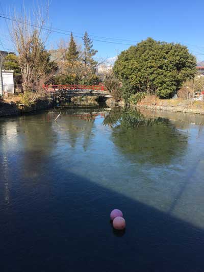 遊亀公園附属動物園　園内