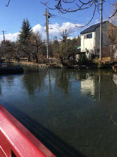 遊亀公園附属動物園　園内