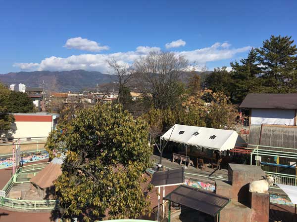 遊亀公園附属動物園　園内