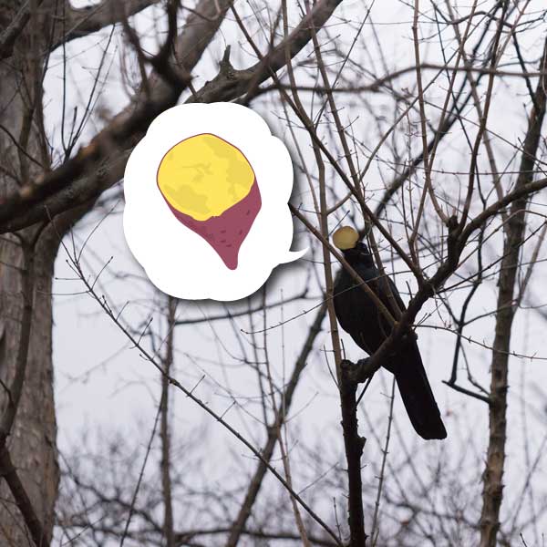 上野動物園　マレーグマ舎