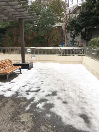 上野動物園　クマ舎