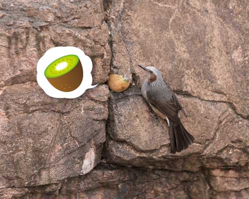上野動物園　マレーグマ舎