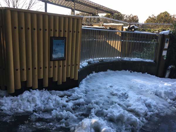 上野動物園 園内