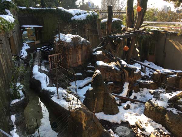 上野動物園 マレーグマ舎