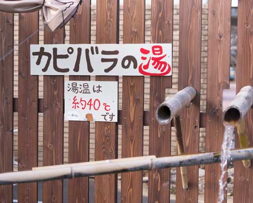 のんほいパーク もぐもぐ広場