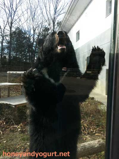 のんほいパーク 園内