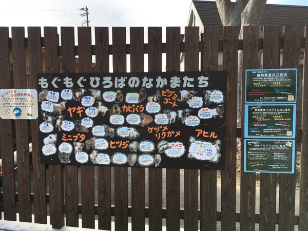 のんほい もぐもぐ広場