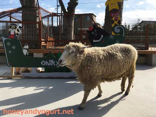 のんほいパーク もぐもぐ広場