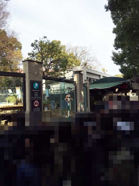 上野動物園 園内